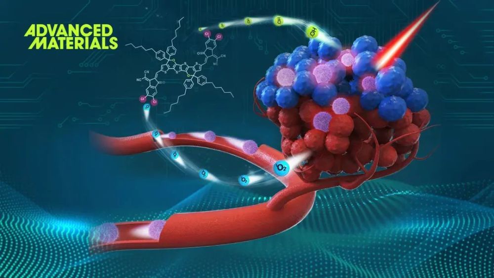 南科大田雷蕾课题组在开发用于光动力治疗的有机光敏剂方面取得进展