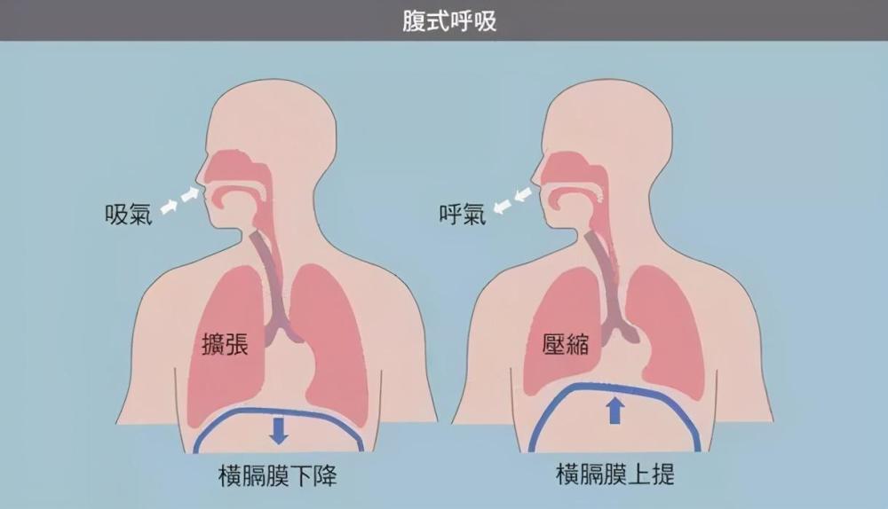 胸式呼吸和腹式呼吸的区别 腾讯新闻