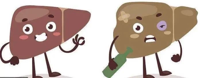 从酒精性脂肪肝到肝癌需要几步