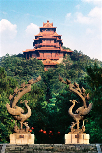 抓住秋的尾巴,尽享大好秋色