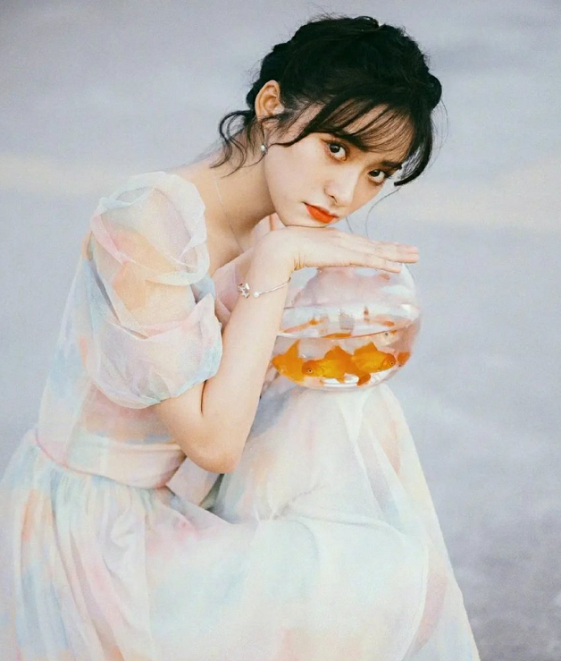 鱼缸排行_能装2.9万吨水!世界最大“鱼缸”就在珠海!