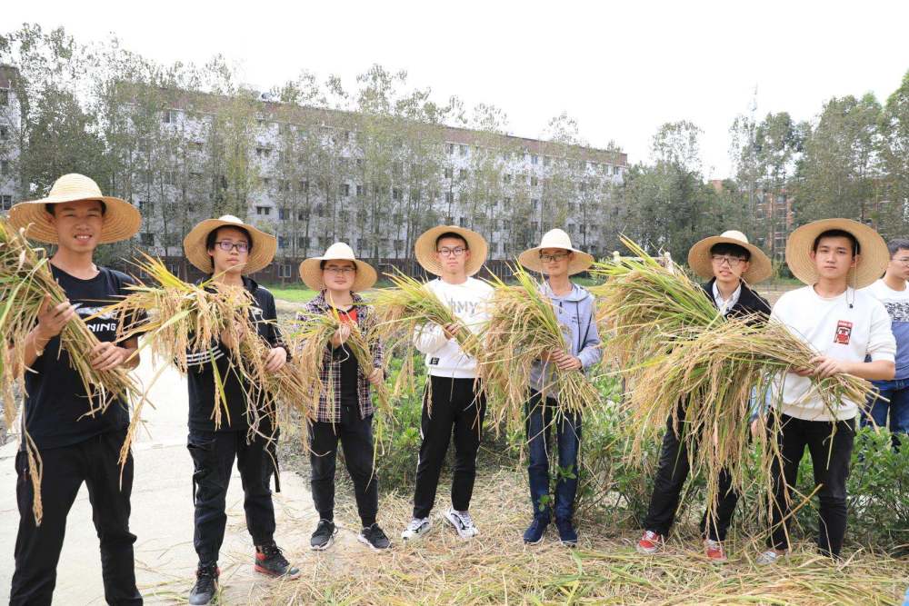 农学院学生要赢在田间地头 腾讯网