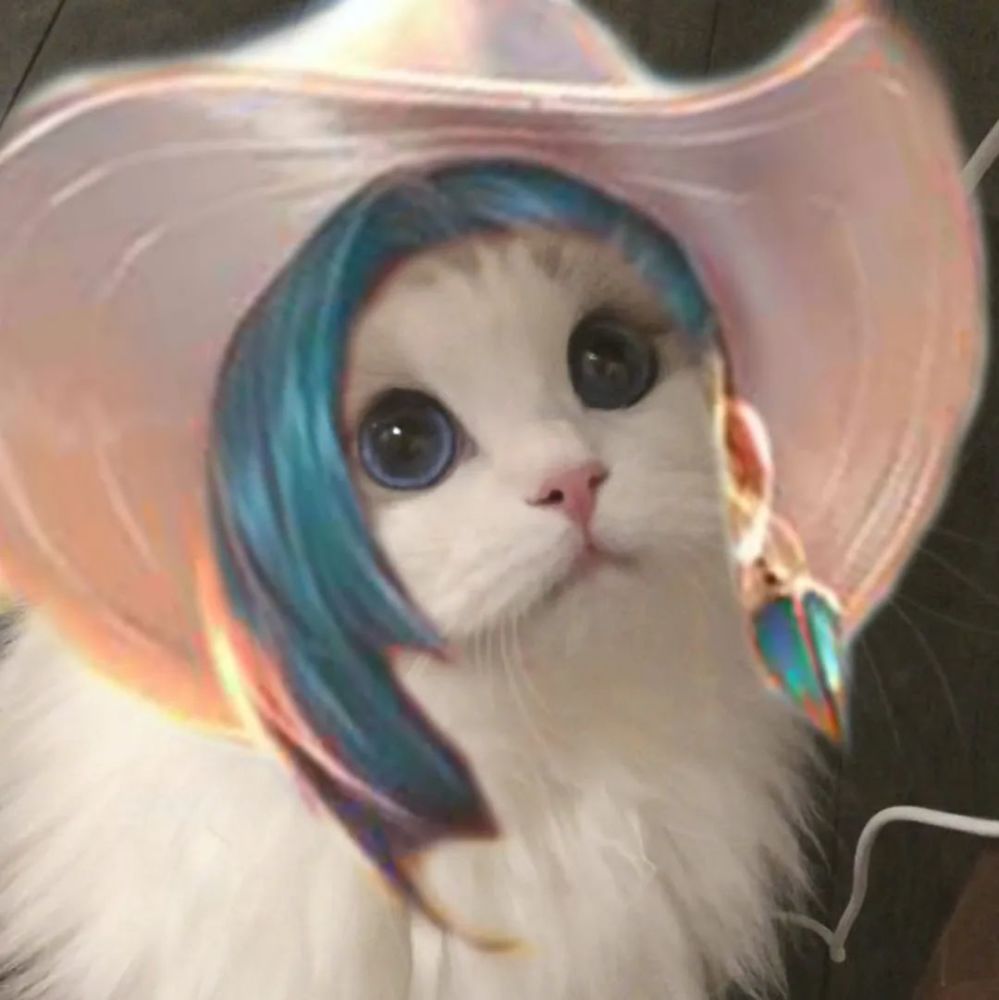 情侣头像|超级可爱的猫咪王者头像,第三期来咯