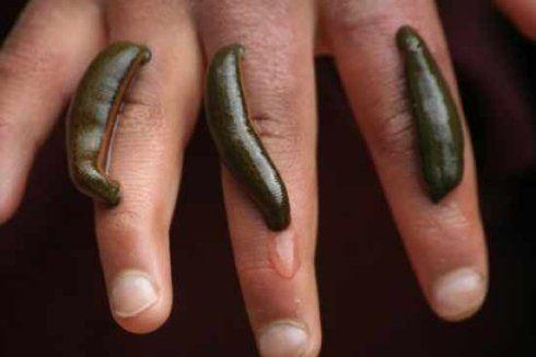 戴笠发明一种酷刑"吸血鬼",专门对付日本间谍,尤其是女间谍