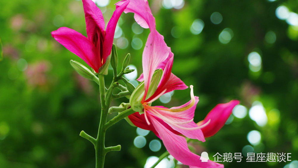 11月5日 9日星座运势 白羊头脑清晰 天秤积极主动 摩羯提高警惕 腾讯新闻