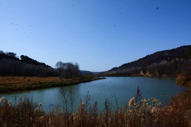 有一种美叫"洛川的秋天"!_腾讯新闻