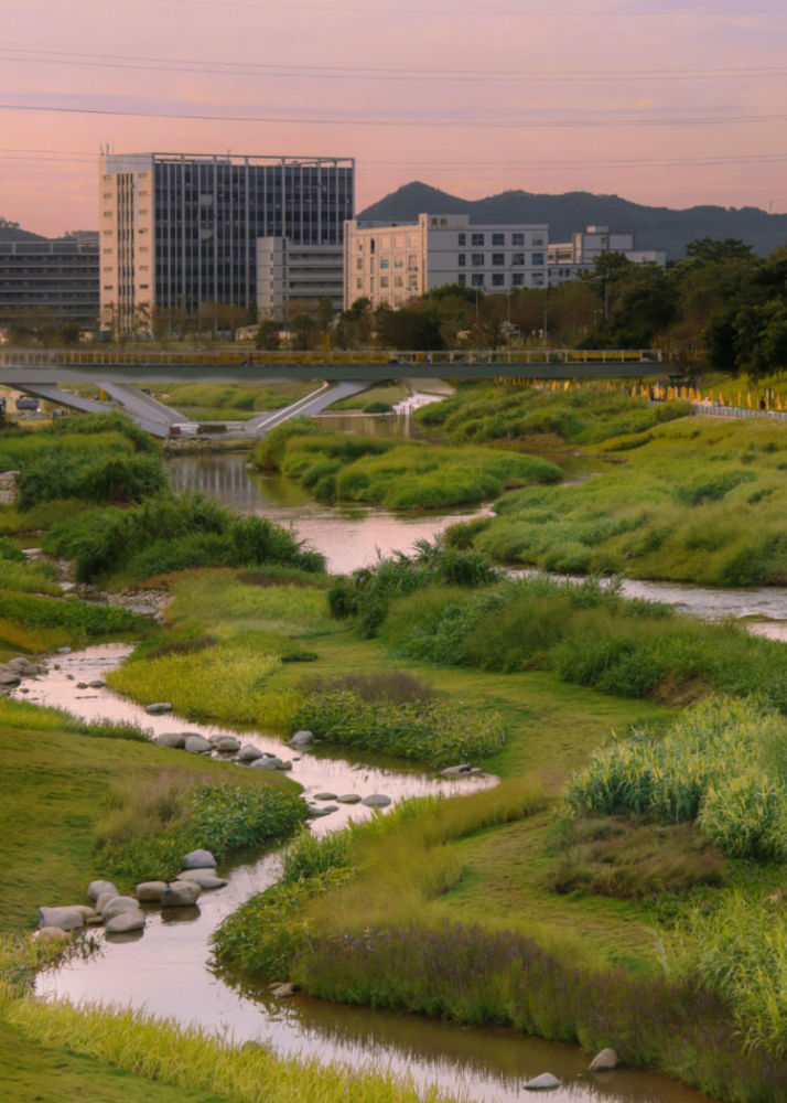 打卡茅洲河碧道光明段一江碧水潋滟两岸风华正茂