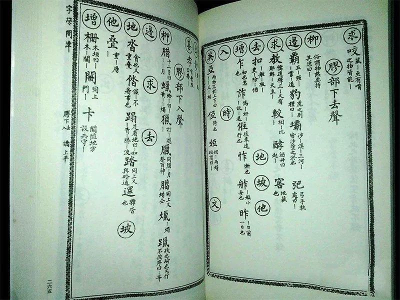 潮汕话潮州话太土 那都是汕头揭阳潮州 潮汕八音 惹的祸 腾讯新闻