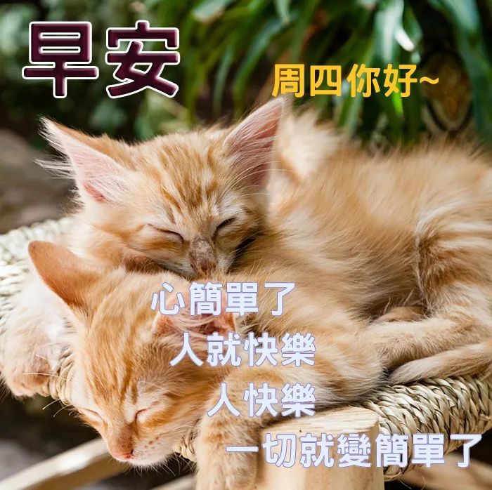 有时,放弃是另一种坚持,你错失了夏花绚烂,必将会走进秋叶静美.早安!