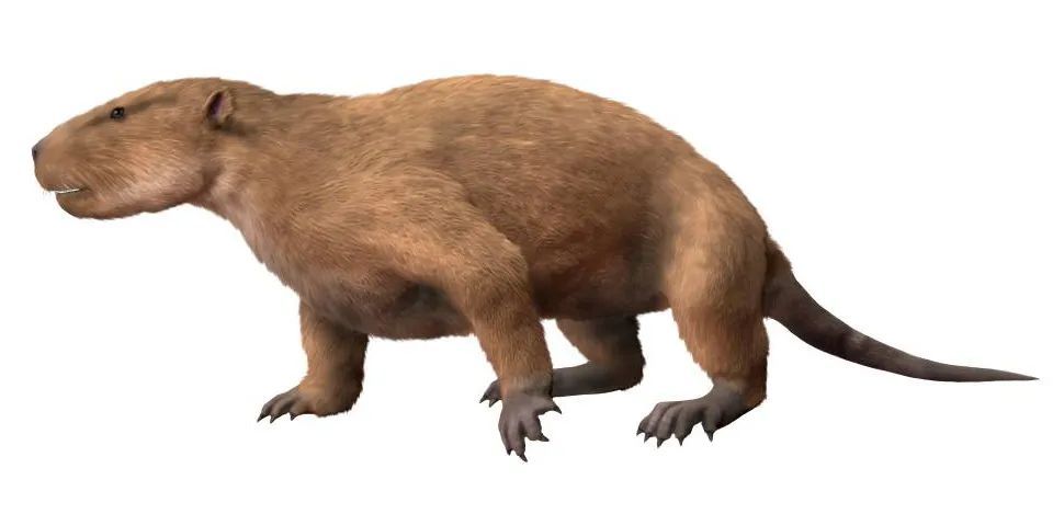 果实|珍惜这些美食，要不是人类它们在1万年前就灭绝了