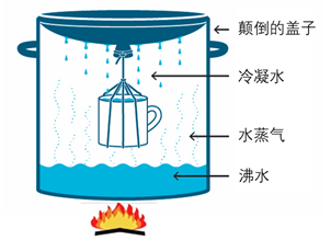 图4  简易蒸馏法装置 (图片来自网络)要是更加不走运,你在户外既没有