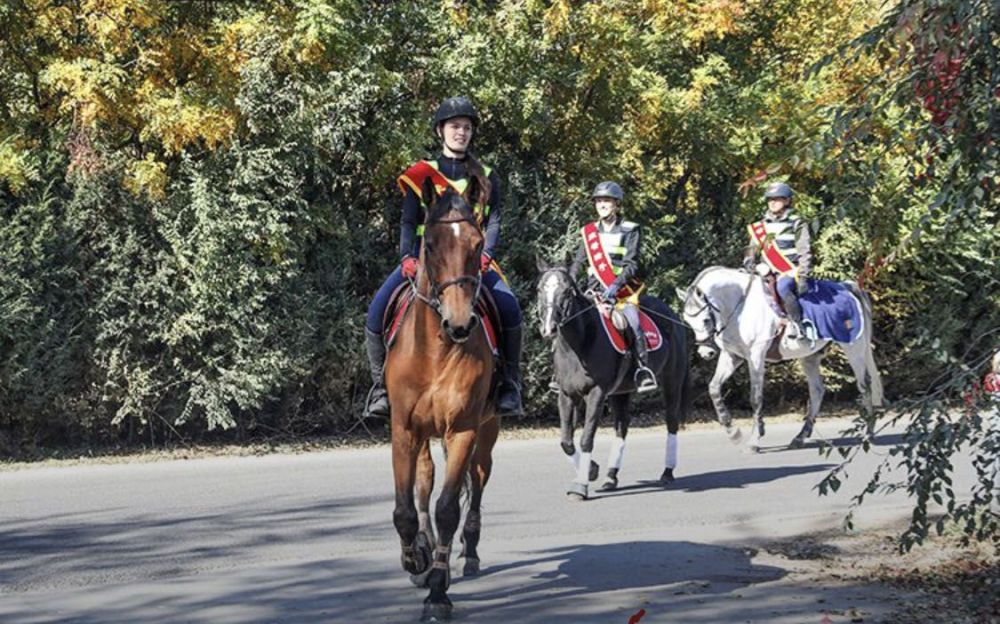 北京|到此一游｜在北京首条城市马道驰骋，一路有湖有林有酒庄