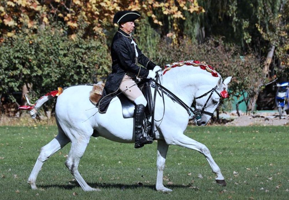 北京|到此一游｜在北京首条城市马道驰骋，一路有湖有林有酒庄
