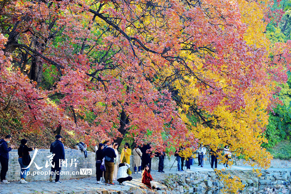 颐和园|北京：颐和园秋色美