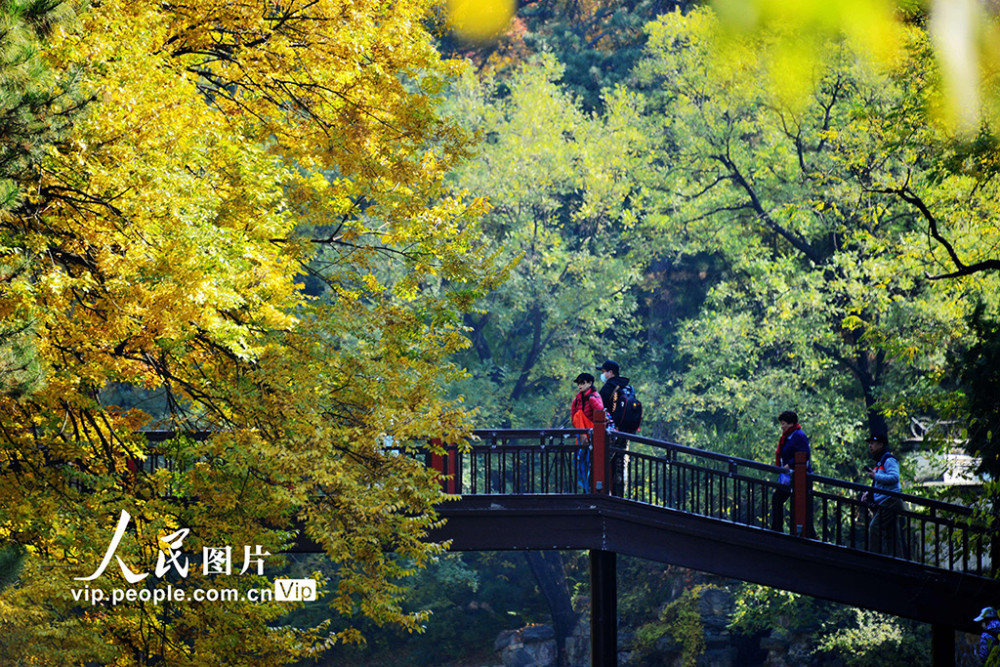 颐和园|北京：颐和园秋色美