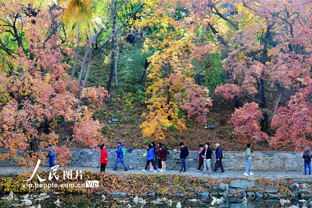 颐和园|北京：颐和园秋色美