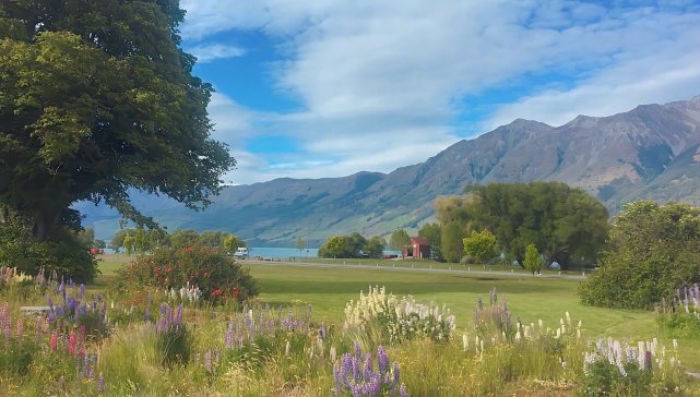 从11月6日开始 运势不错 会鸿运当头 披荆斩棘的三大星座 水瓶座 狮子座 射手座 星座运势 运势 星座