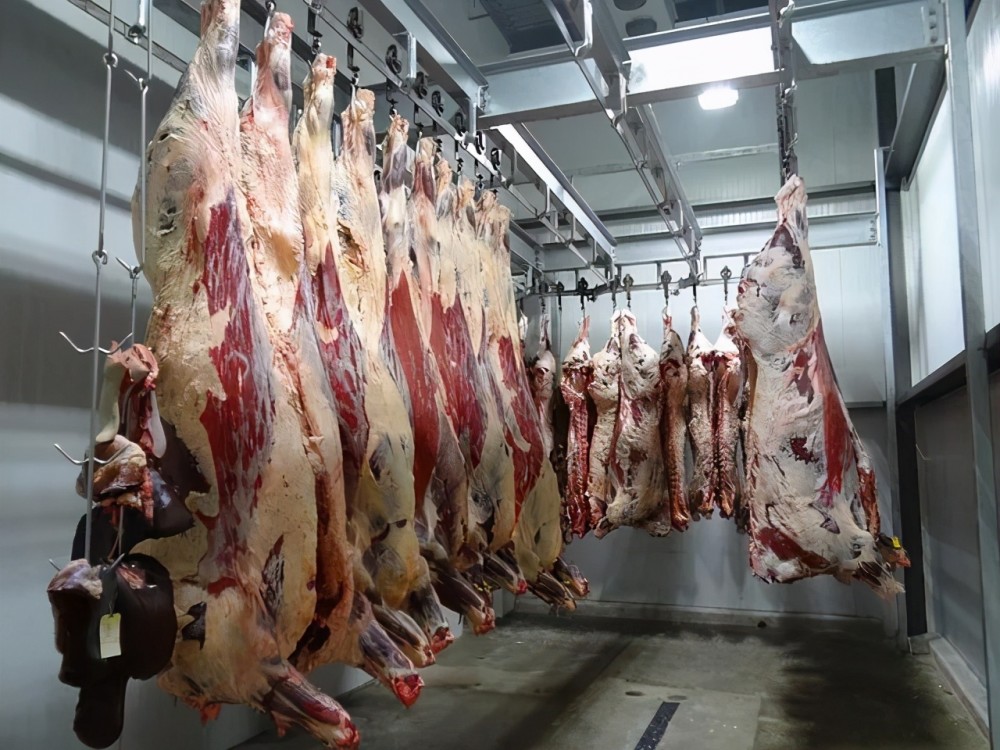 "创澳分享"屠宰场臭味废气治理与应用特点