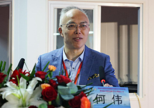 广州中医药大学髋关节研究中心主任何伟洛阳正骨医院髋部疾病研究治疗