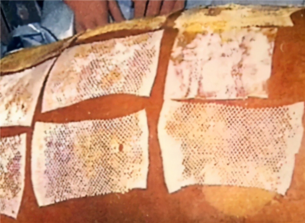 日本核辐射有多可怕?