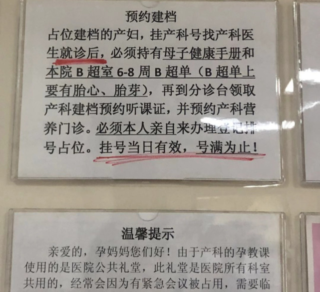 包含世紀壇醫院名醫掛號＋辦理入院+包成功的詞條