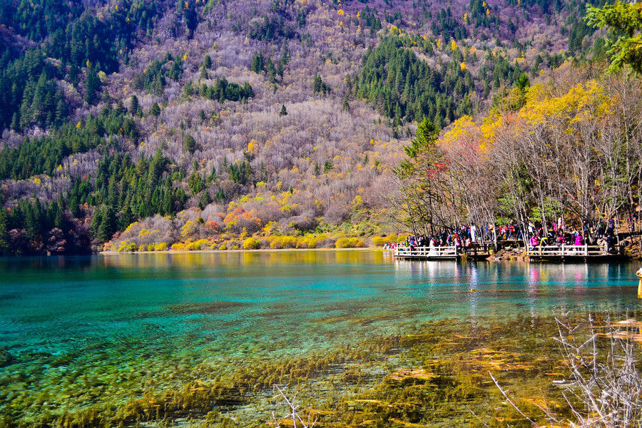 11月旅游的季节 腾讯新闻