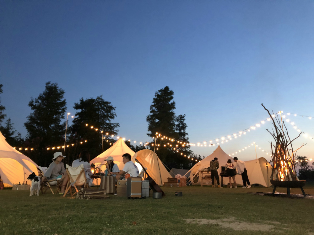 疫情下出圈精致露营做对了什么