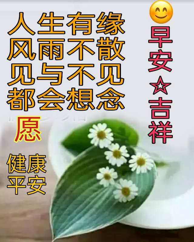 21有创意的早上好图片带祝福语温馨的冬天大家早安问候语唯美图片 腾讯新闻