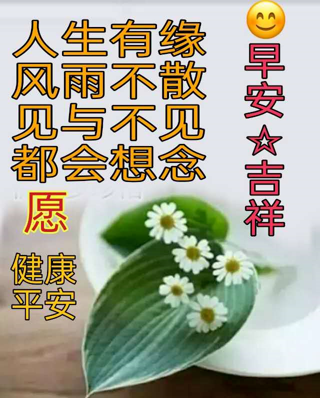 2021有创意的早上好图片带祝福语温馨的冬天大家早安问候语唯美图片 腾讯新闻