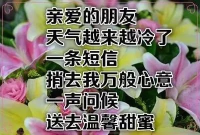 初冬早上好的問候短信最暖心的早安祝福問候語