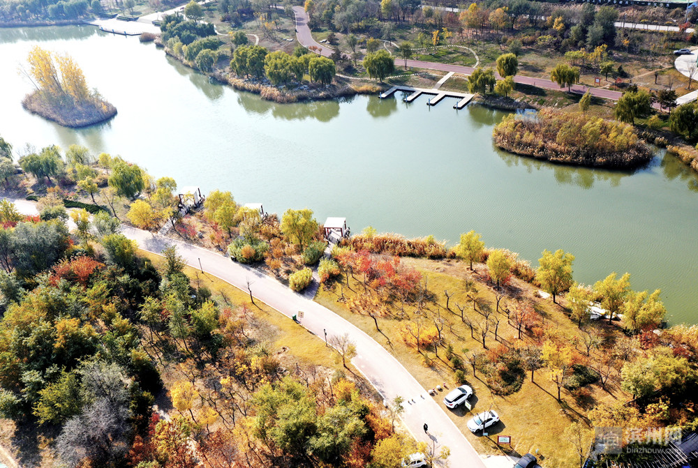 北海公園,新立河兩岸,健身廣場······深秋,請來濱州,這裡風景