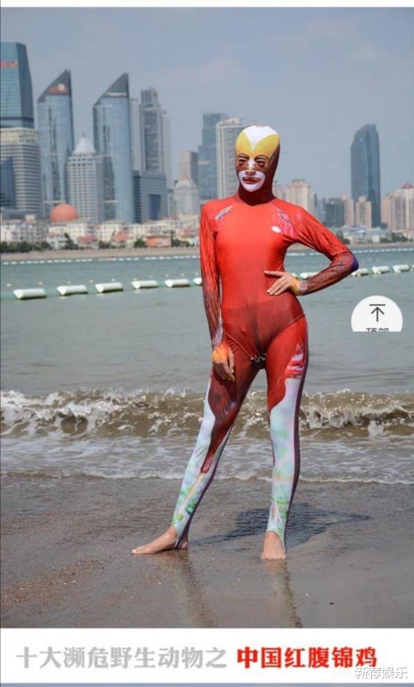 以野生濒危动物为主题的泳衣画风不是一般的野哈哈哈哈