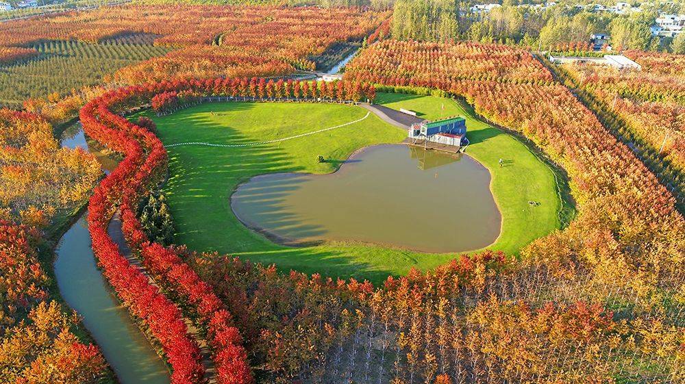 邳州2020工业排名_2020全国“百强县”名单出炉!邳州上榜!