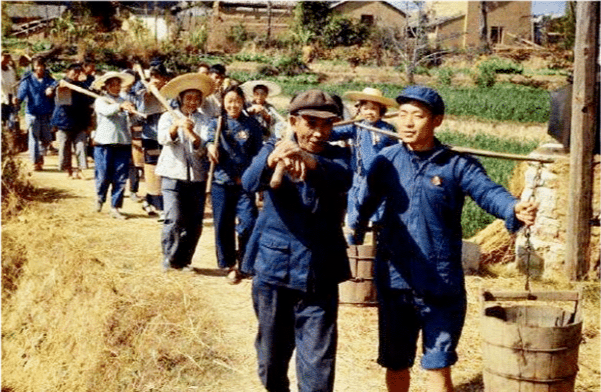 此后龚清孝开始迷恋起野草的味道,总是会在吃饭的时