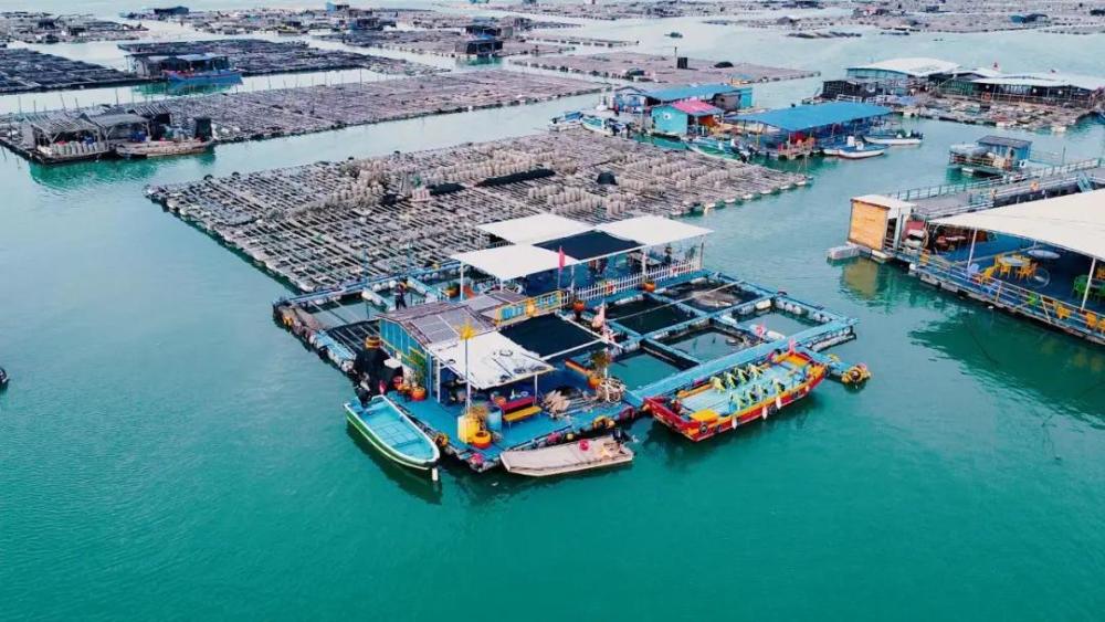 目光所及,那一幢幢漂浮在海上的小木屋就是渔排.