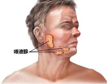癌症|我们还在进化？科学家意外发现人体新器官
