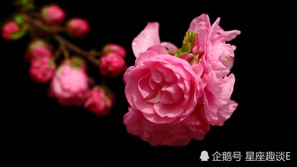 11月6日 10日星座运势 白羊配合默契 狮子提高警惕 水瓶深思熟虑 腾讯新闻