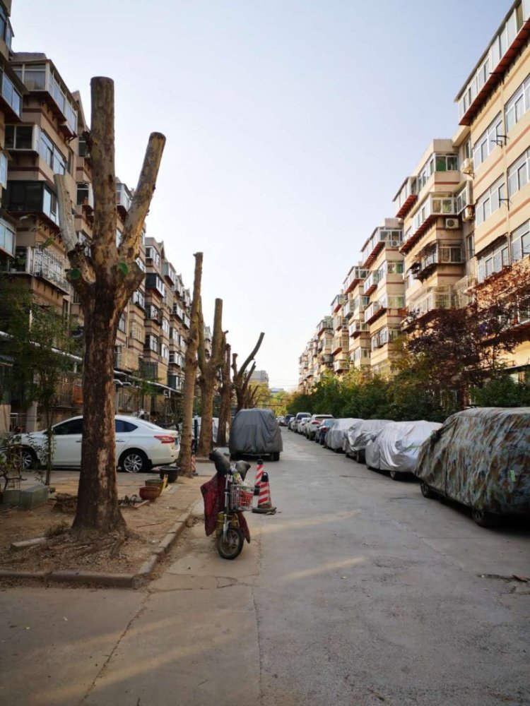 济南市天桥区南村街道:一封来自12345的表扬信_腾讯新闻