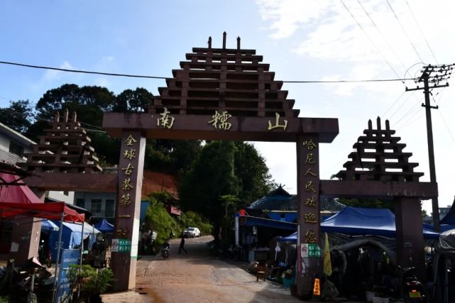 拔玛茶南糯山独一无二的存在