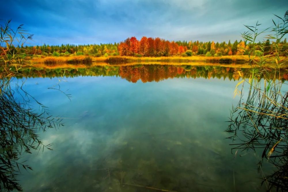 你的秋天应该有这些温柔且治愈的画面