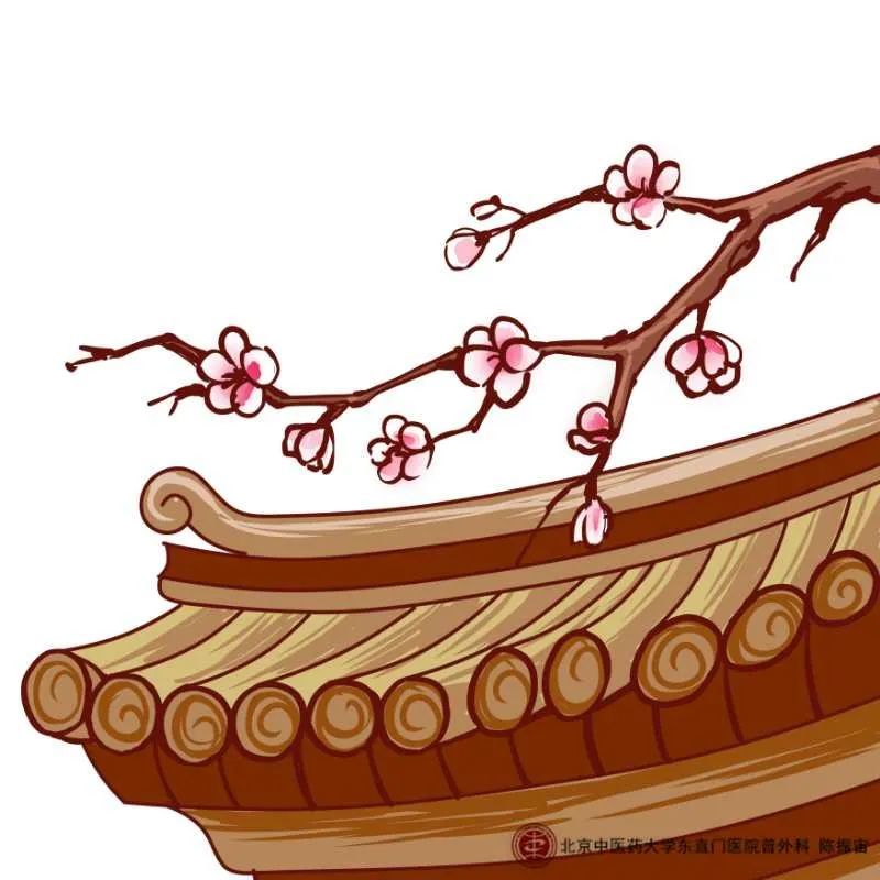 【医学新悟】春色满园关不住,一枝红杏出墙来——从红杏出墙再谈谈