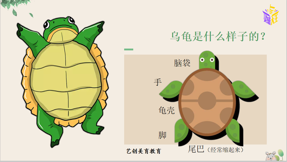 用過的水果網套不要扔秒變小烏龜