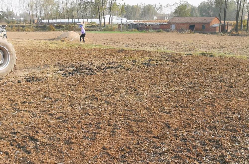 男子在河南承包千亩土地收割季节遭到农民哄抢法不责众吗