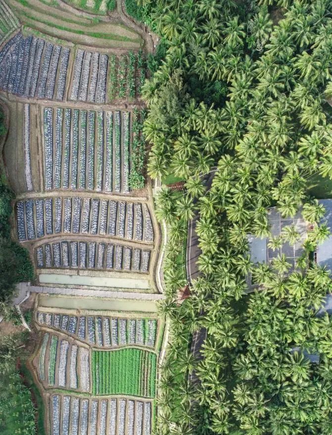 文昌航天之城魅力僑鄉海南精品線路推薦