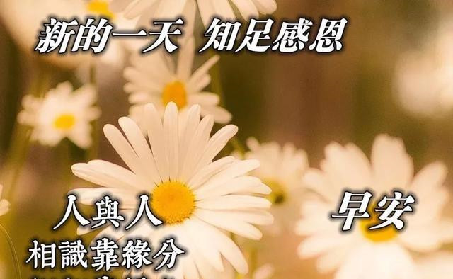 星期五最暖心的早安祝福语句最新早上好问候表情图片