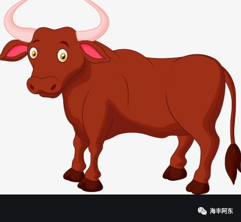 老牛熟知夕阳晚,不用扬鞭自奋蹄|金声