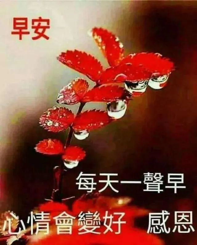 虎年早安祝福图片美篇图片