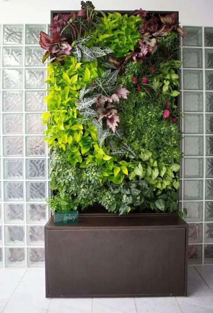 生态植物墙,让居家生活回归自然!防水防潮做好了吗?