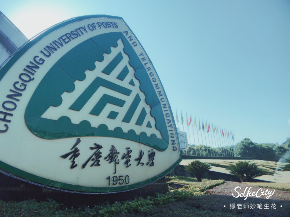 2020高校男女比例排名_99所高校2020本科专业新生数量排行,四川外国语大学