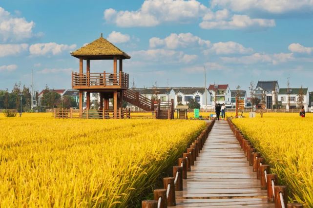 稻香深处有人家古驿已晚秋